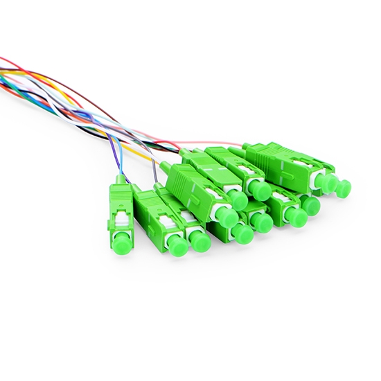 12 Core SC Fiber Optic Pigtails